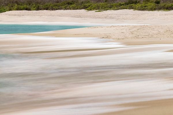 Jones, Adam 아티스트의 Surf pattern washing up on white sandy beach-Espanola Island-Galapagos Islands-Ecuador작품입니다.